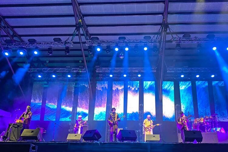 Festival Rainforest 2024