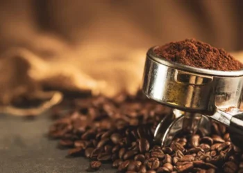 Rekomendasi Kopi Arabica Lokal Terbaik, Nikmati Cita Rasa Juara dari Gayo hingga Toraja