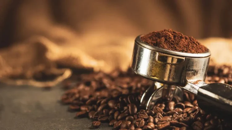 Rekomendasi Kopi Arabica Lokal Terbaik, Nikmati Cita Rasa Juara dari Gayo hingga Toraja